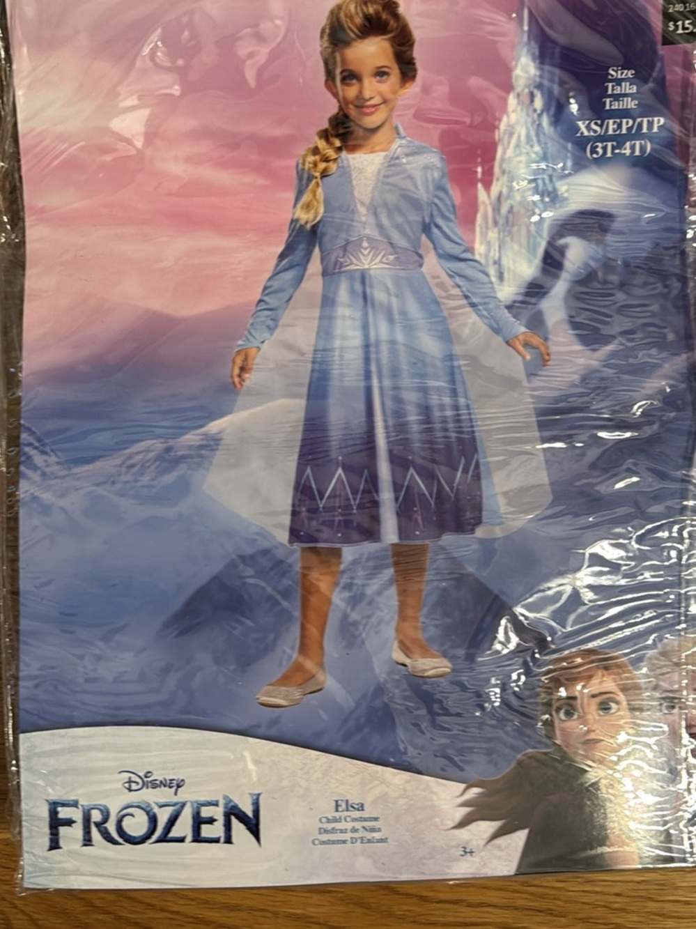 Disney Elsa Light Blue and Purple Dress Costume